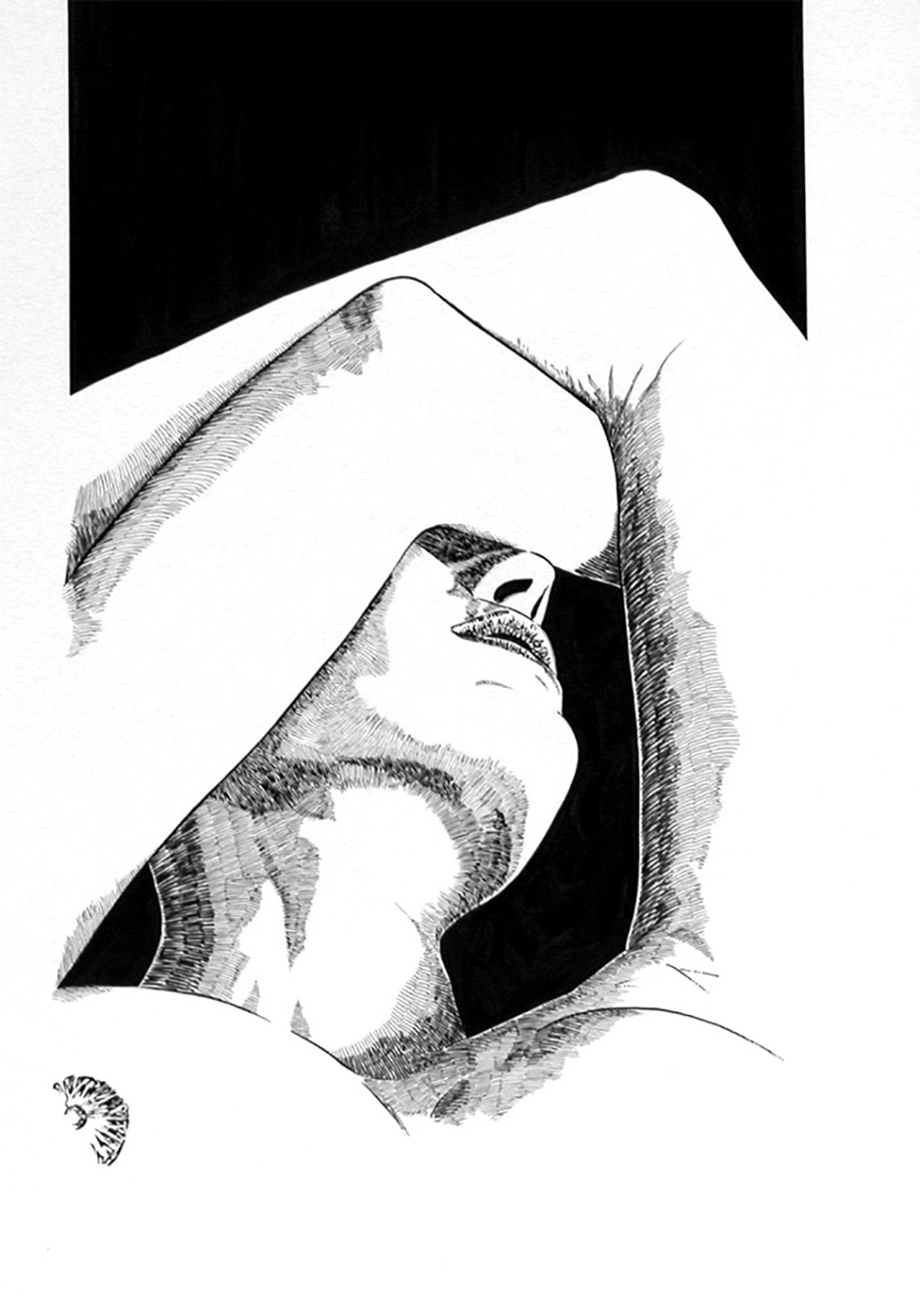 Donna IV